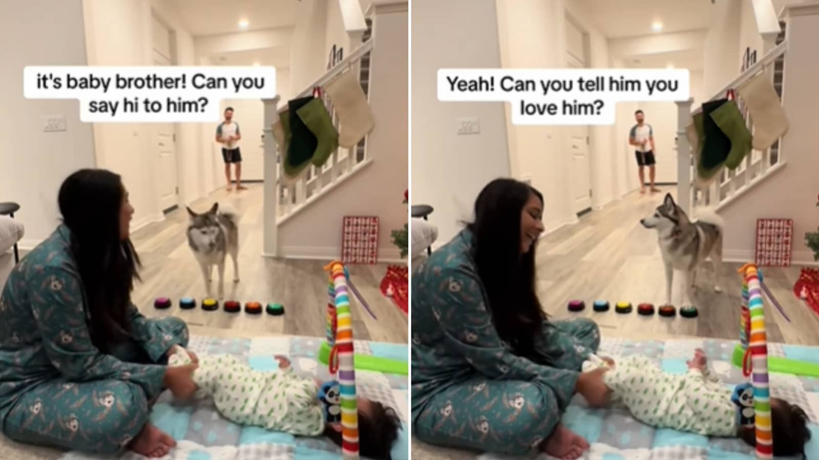 Woman asks husky to say ‘I love you’ to baby, dog replies using pet button. Watch