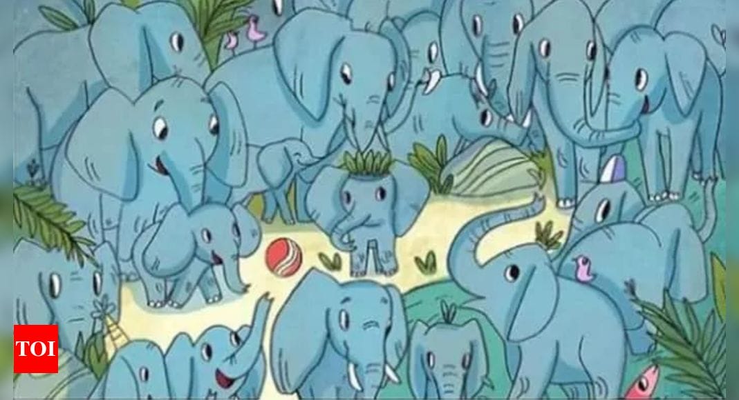 Optical Illusion: Can you spot the baby Rhino among these Elephants in under 6 seconds? |