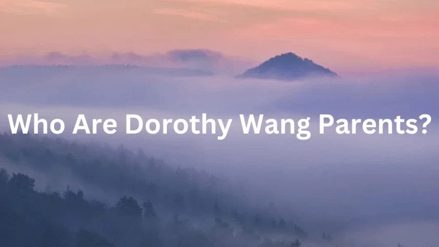 Who Are Dorothy Wang Parents? Who Is Dorothy Wang? Dorothy Wang Age, Boyfriend, Net Worth, Biography, Nationality