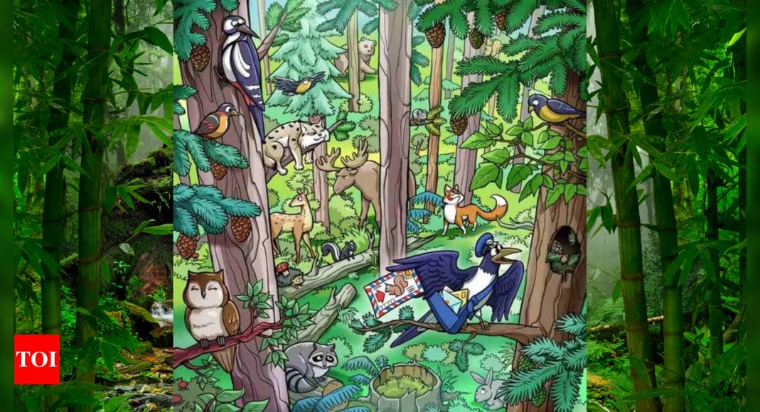 Spot the Squirrel in this Jungle within 6 Seconds |