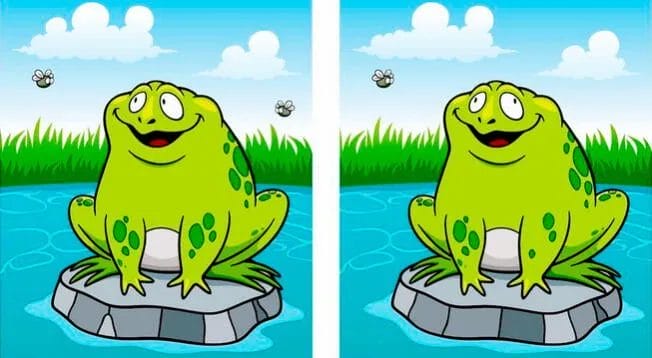 Can you find 5 differences in the colorful picture of a frog?  Show that you are CRACK over the cracks and overcome the challenge