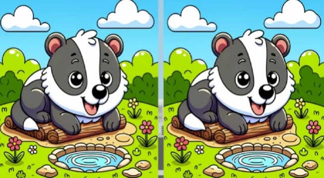 Can you see the 3 differences?  If you have HAWK eyes, you will master the EXTREME CHALLENGE