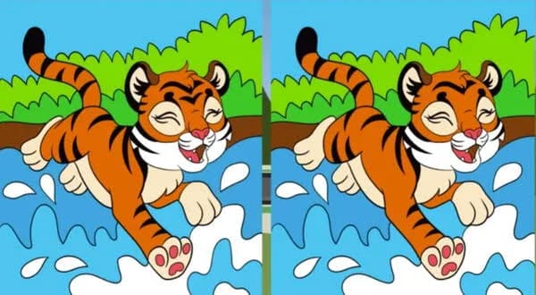 EXTREME GENIUS CHALLENGE: Can you spot the 3 differences between the tigers?