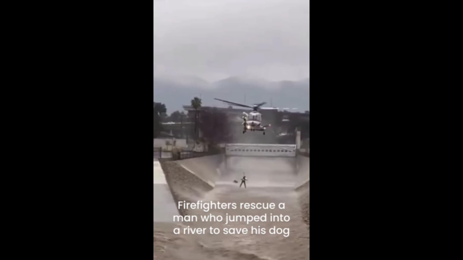 Firefighters rescue man who jumped into churning waters to save his dog. Watch