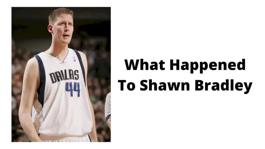 What Happened To Shawn Bradley? Shawn Bradley: Ex-Nba Star Accident, Wife, Children, And Net Worth
