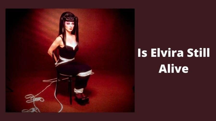Is Elvira Still Alive? How Old Is Elvira Mistress Of The Dark?