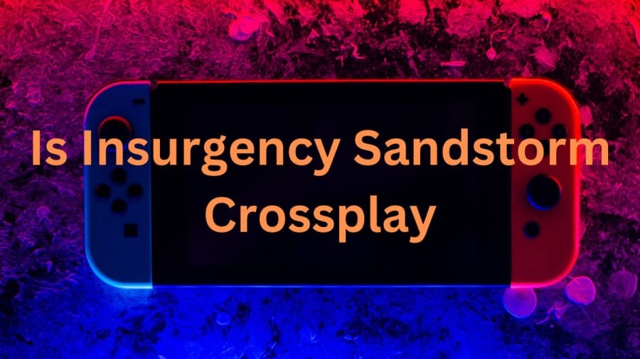 Is Insurgency Sandstorm Crossplay? Heres Everything We Know