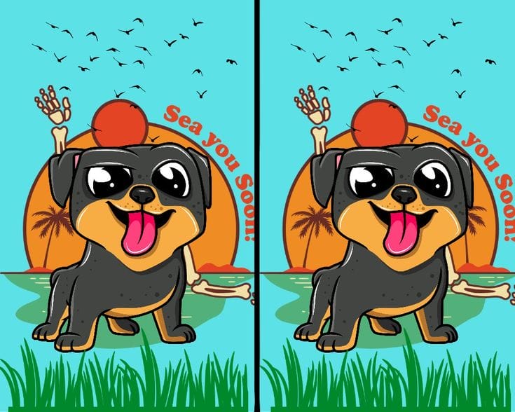 Only 1% of people can find all the differences in the cute dog scene