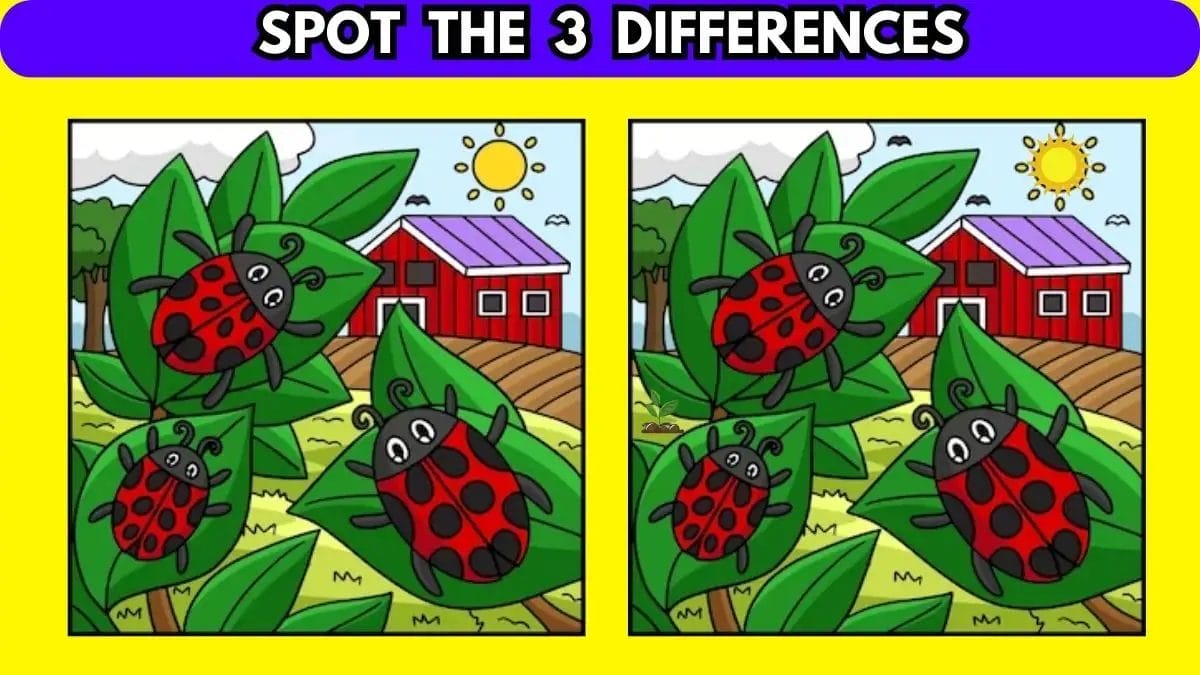 Optical Illusion: If You Have Sharp Eyes Find 3 Differences in 10 Secs ...