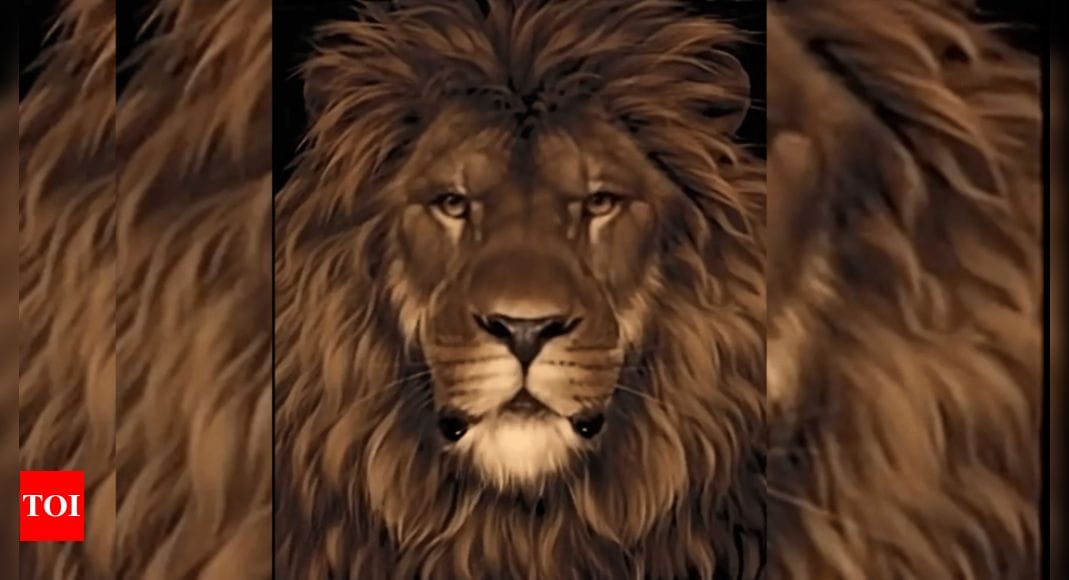 Optical Illusion: Can you spot the second animal in this Lion' picture?