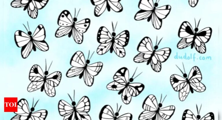 Brain teaser test: Spot the butterfly with a unique pattern