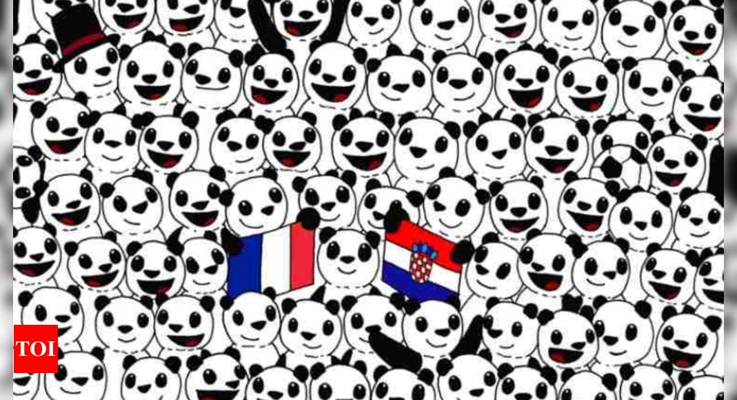 Optical Illusion: Can you spot a soccer ball among pandas? |