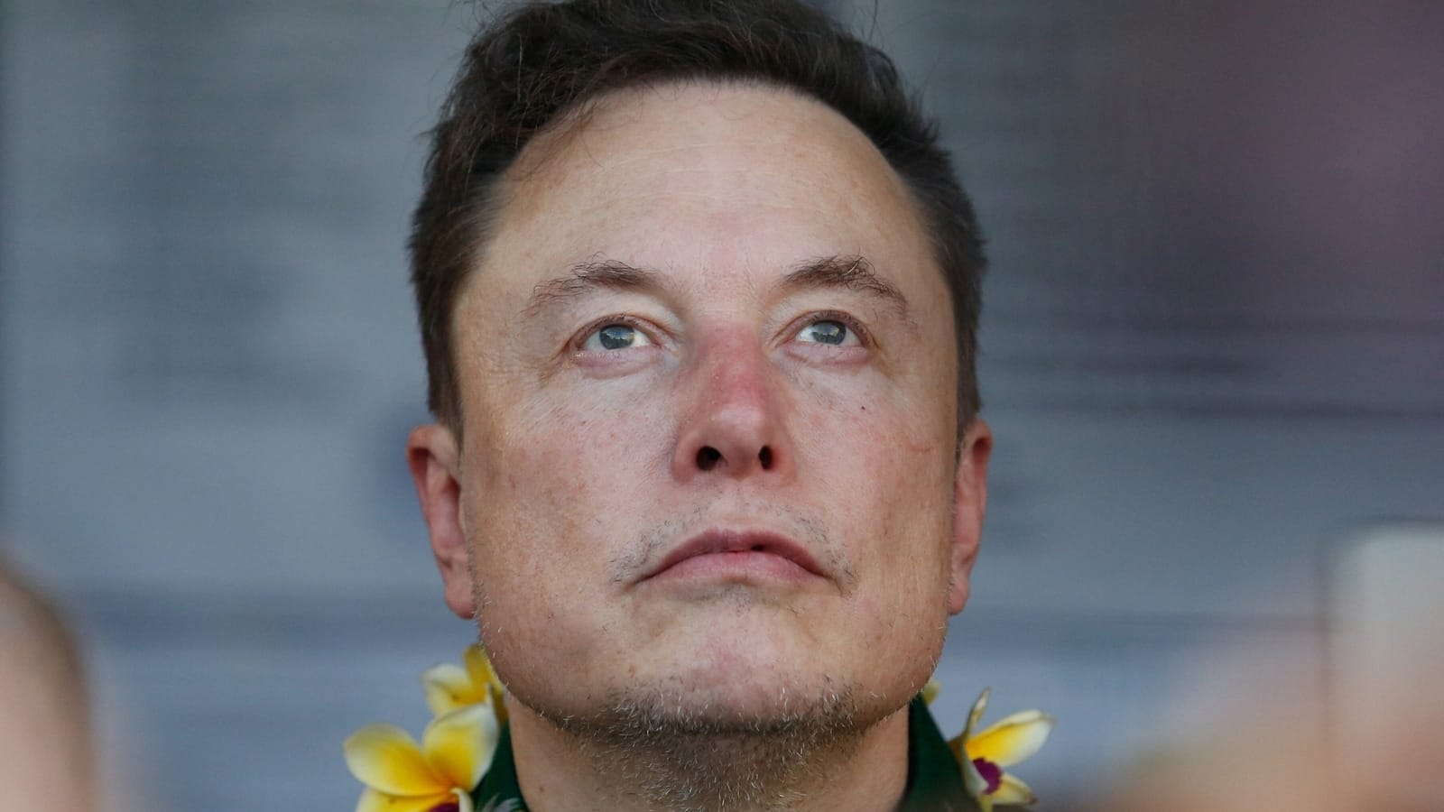Elon Musk reacts to baseball coach’s ‘worst' X feature post: ‘I love Twitter, but…’