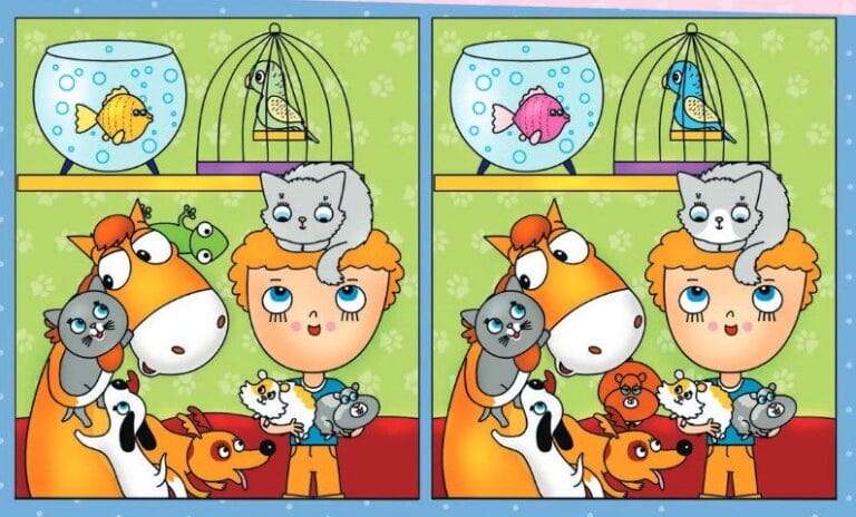 Find 10 differences in the picture of the animal lover boy