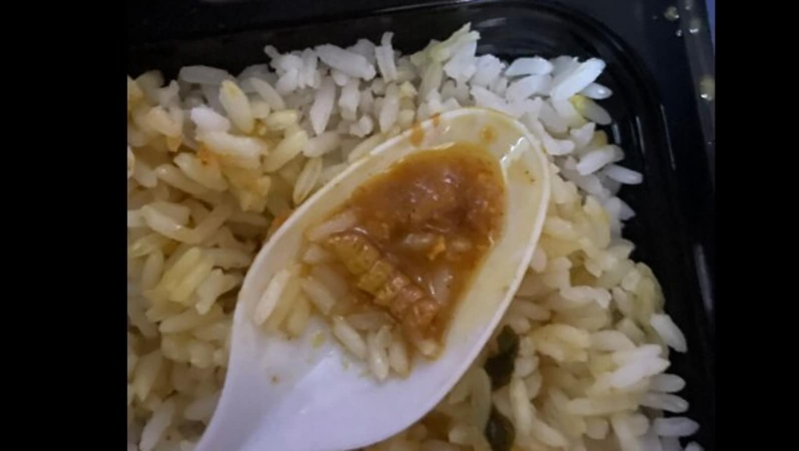 Passenger makes horrifying discovery in food served on Kashi Express, Railway Seva reacts