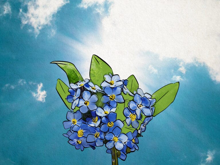 What are the Symbolic Meanings of Forget-Me-Nots?