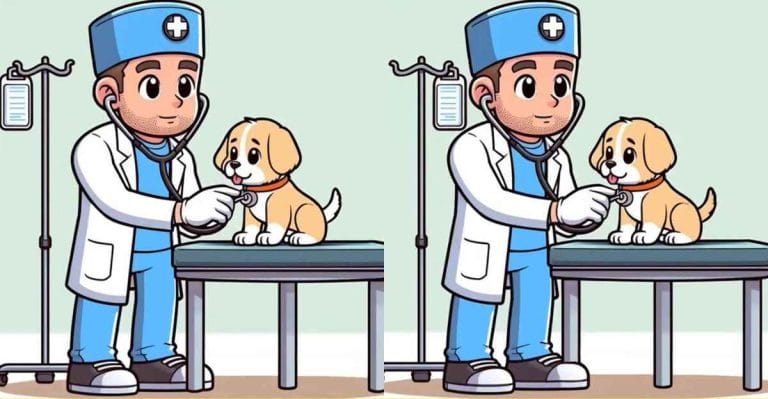 Help the vet cure the puppy: find 3 differences in 11 seconds!