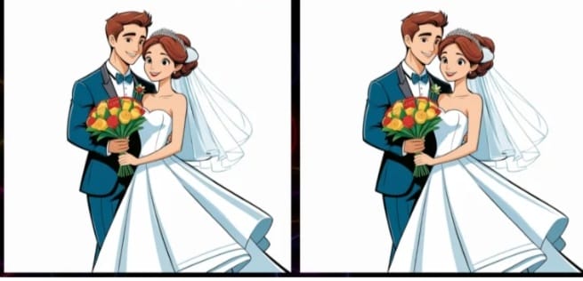 "Only the most ardent bride will find three differences and a woman's hair on the groom's jacket!"