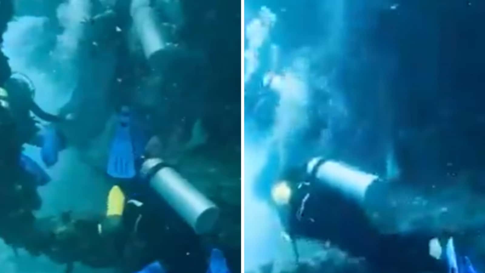 Who is Kyna Khare? 12-year-old Bengaluru girl who claims to be youngest master scuba diver. Watch