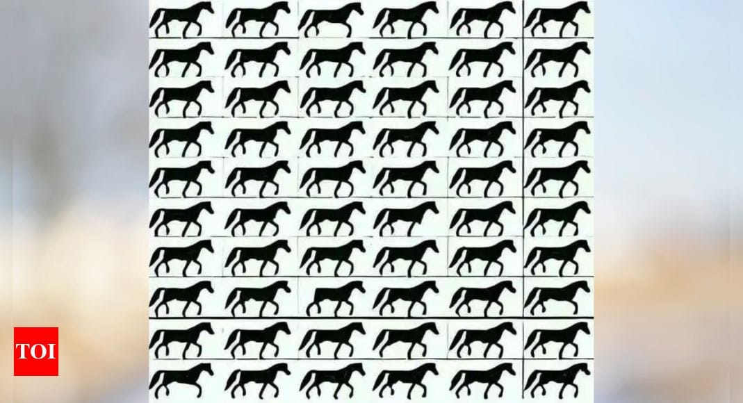 Optical Illusion Challenge: Only a true genius can spot 3-legged horses |